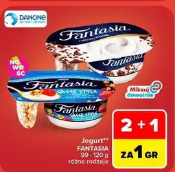 Carrefour Jogurt Fantasia Danone oferta