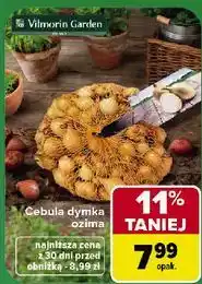 Carrefour Cebula dymka ozima Vilmorin Garden oferta