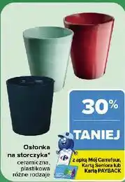 Carrefour Osłonka na storczyka ceramiczna, plastikowa oferta