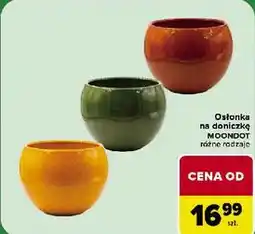 Carrefour Osłonka na doniczkę MOONDOT oferta