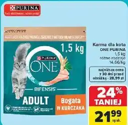 Carrefour Karma dla kota ONE PURINA oferta