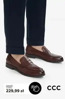 CCC Buty męskie lordsy Lasocki oferta