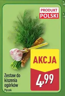 ALDI Zestaw do kiszenia ogórków polski oferta