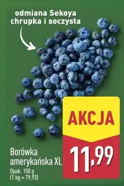 ALDI Borówka amerykańska XL oferta
