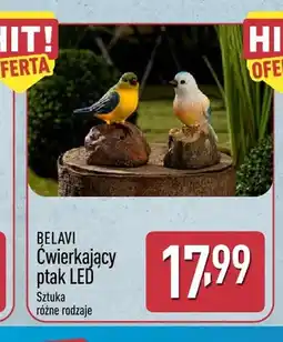 ALDI Ćwierkający ptak LED Belavi oferta