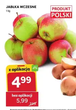 Stokrotka Jabłka wczesne polskie oferta
