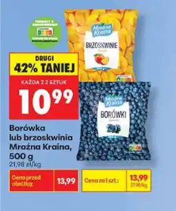 Biedronka Borówka Mroźna Kraina oferta