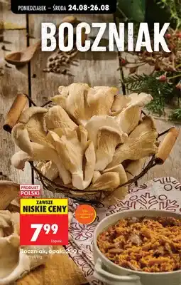 Biedronka Boczniak polski oferta
