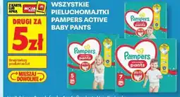 Biedronka Pieluchomajtki Pampers Active Baby Pants oferta