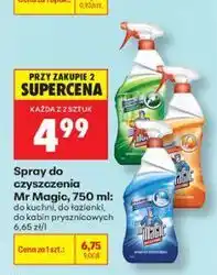 Biedronka Spray do czyszczenia Mr Magic oferta