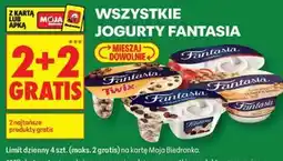 Biedronka Wszystkie jogurty Fantasia oferta