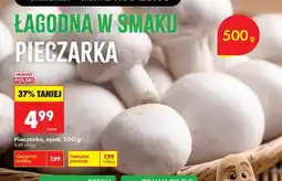 Biedronka Pieczarka, opak oferta
