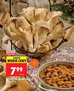 Biedronka Boczniak oferta