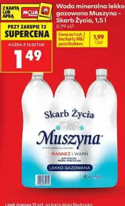 Biedronka Woda mineralna lekko gazowana Muszyna - Skarb Życia oferta
