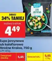 Biedronka Zupa jarzynowa lub kalafiorowa Mroźna Kraina oferta