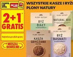 Biedronka Wszystkie kasze i ryże Plony Natury oferta