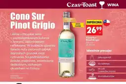 Biedronka Wino białe wytrawne Cono Sur Pinot Grigio oferta