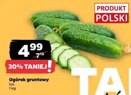 Netto Ogórek Polski oferta