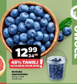 Netto Borówka amerykańska oferta