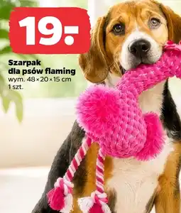 Netto Zabawka dla psa oferta