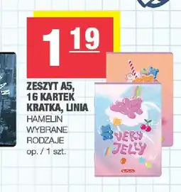Spar Zeszyt A5 16 kartek kratka Hamelin oferta