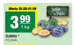 Spar Śliwka oferta