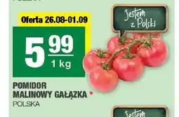 Spar Pomidor malinowy gałązka oferta