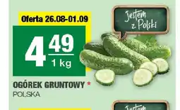 Spar Ogórek gruntowy oferta