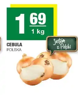 Spar Cebula polska oferta