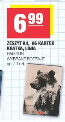 Spar Zeszyt A4 96 kartek kratka linia Hamelin oferta