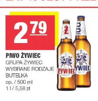 Piwo Żywiec