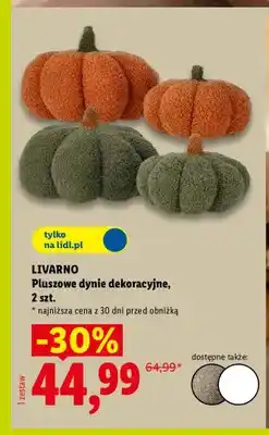 Lidl Pluszowe dynie dekoracyjne Livarno 2-pak oferta