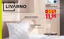 Lidl Poduszka LIVARNO 40x40 cm oferta