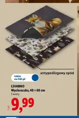 Lidl Wycieraczka Livarno oferta