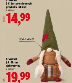 Lidl Skrzat dekoracyjny Livarno oferta