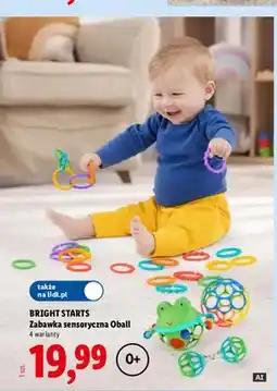 Lidl Zabawka sensoryczna Oball Bright Starts oferta