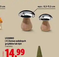Lidl Zestaw ozdobnych grzybków Livarno oferta