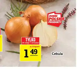 Gram Market Cebula oferta