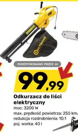 Bricomarche Odkurzacz do liści elektryczny oferta