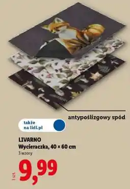 Lidl LIVARNO Wycieraczka, 40 x 60 cm oferta