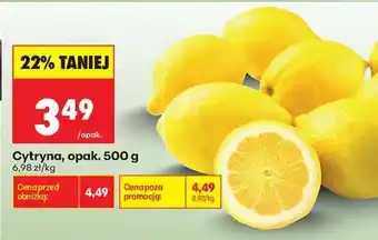 Biedronka Cytryna opak . 500 g oferta