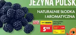 Biedronka Jeżyna polska, opak. 125 g oferta