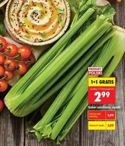 Biedronka Seler naciowy opak oferta