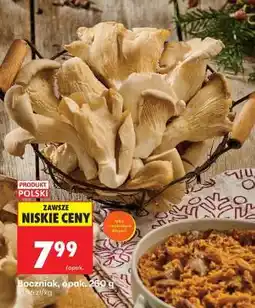 Biedronka Boczniak, opak. 250 g oferta