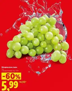 Lidl Winogrona jasne luzem oferta