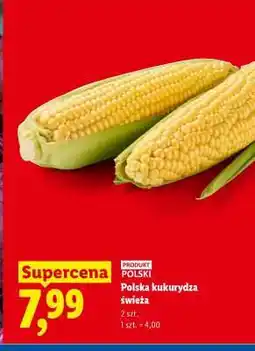 Lidl Polska kukurydza świeża oferta