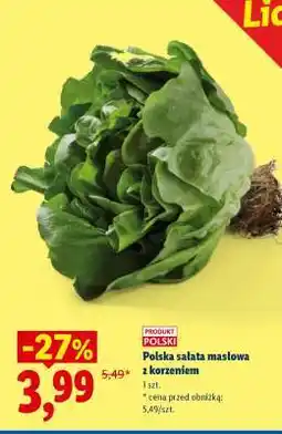 Lidl Polska sałata masłowa z korzeniem oferta