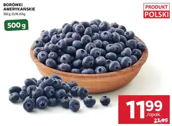 BORÓWKI AMERYKAŃSKIE
