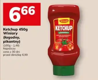 Ketchup Łagodny