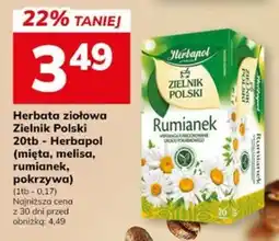 Hitpol Herbata ziołowa Rumianek oferta